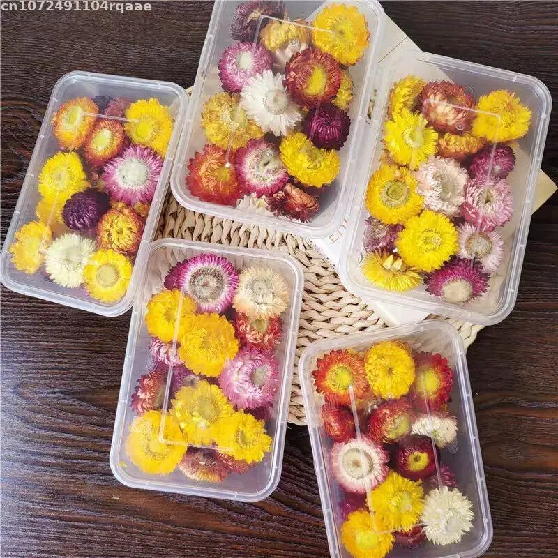 Flores Secas 100% Naturais Bra - Candle Making Material Wholesale avaliação e preço